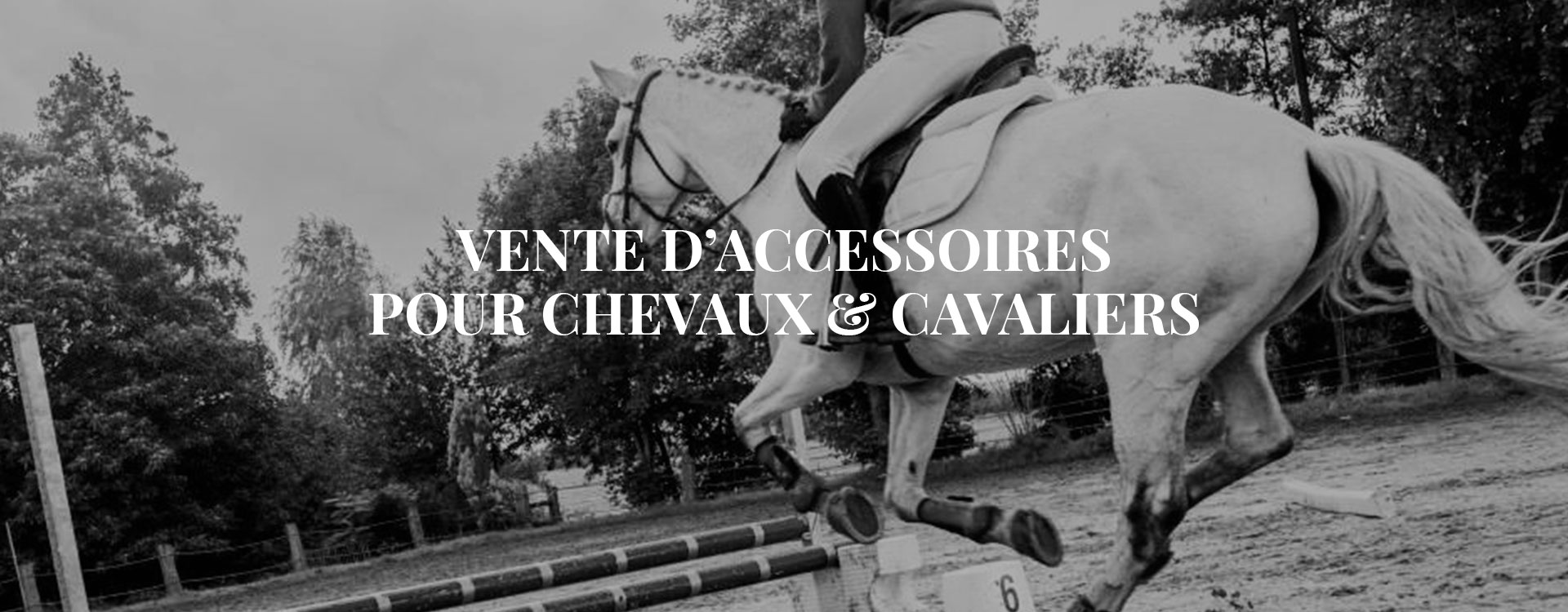 Votre Expert Équestre dans le Gers Votre Expert Équestre dans le Gers